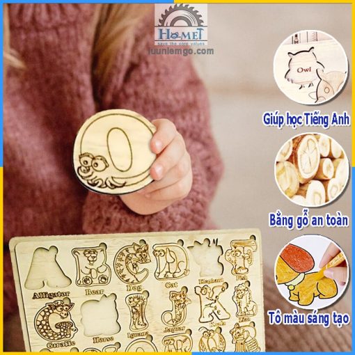 học số và chữ cái